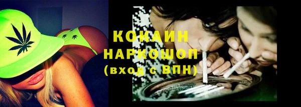 молекула духа Няндома