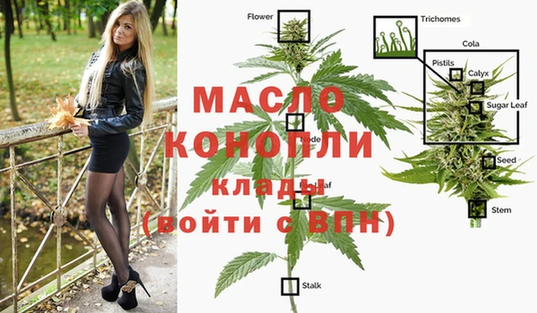 молекула духа Няндома