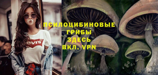 молекула духа Няндома
