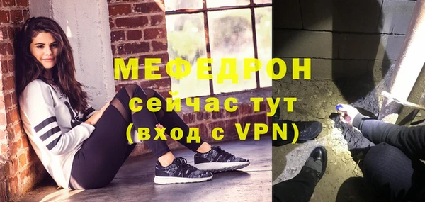 молекула духа Няндома