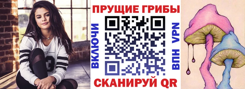 Галлюциногенные грибы Psilocybe  Усть-Кут 