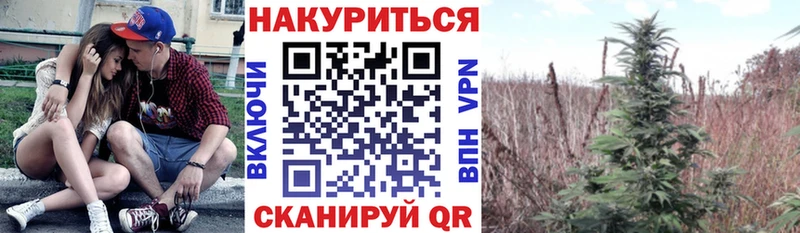 KRAKEN зеркало  это Telegram  Бошки Шишки конопля  купить  цена  Усть-Кут 